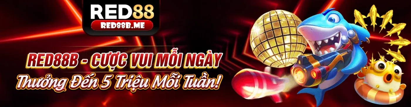 Chương trình hoàn trả và VIP